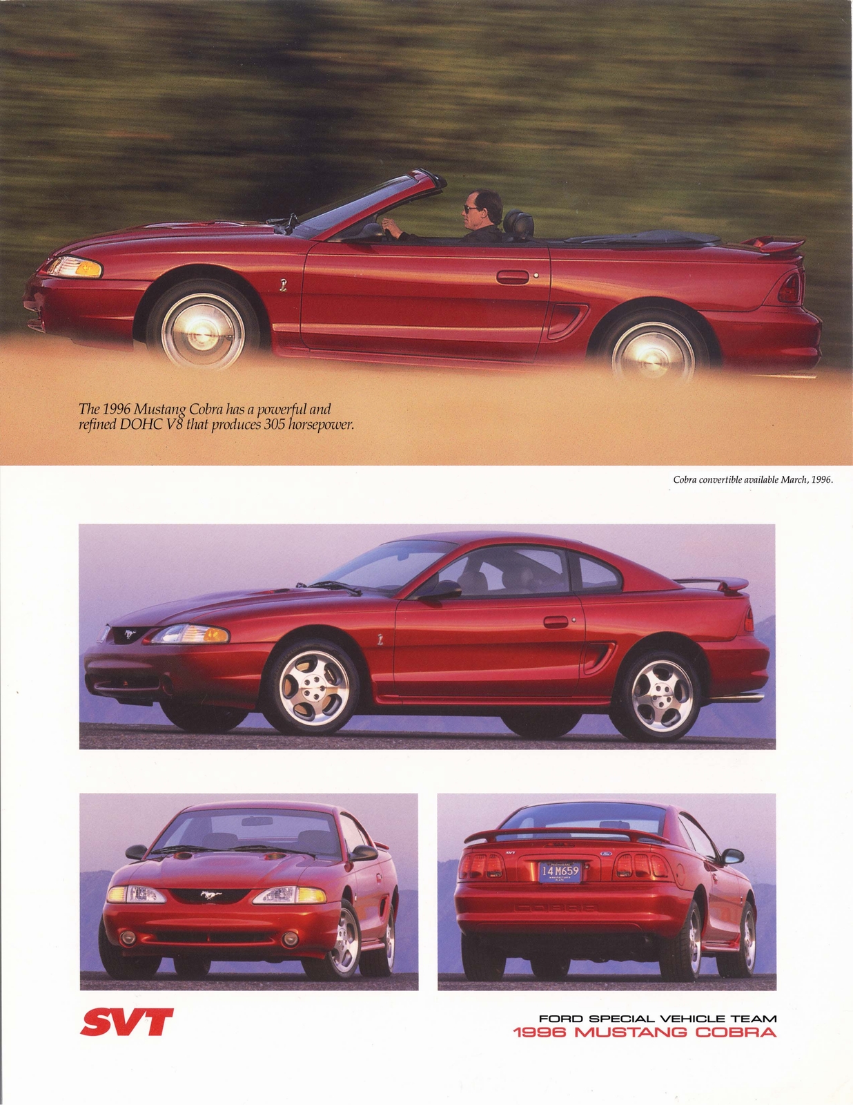 n_1996 Ford Mustang Cobra Poster-01.jpg